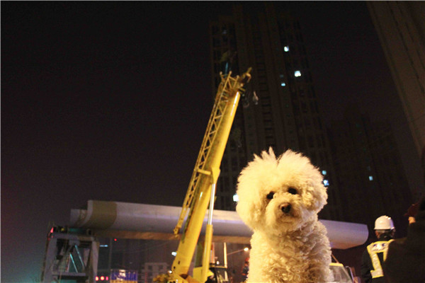 ޹ƽ̨(5981cc-CHN֤)-Macau App Station